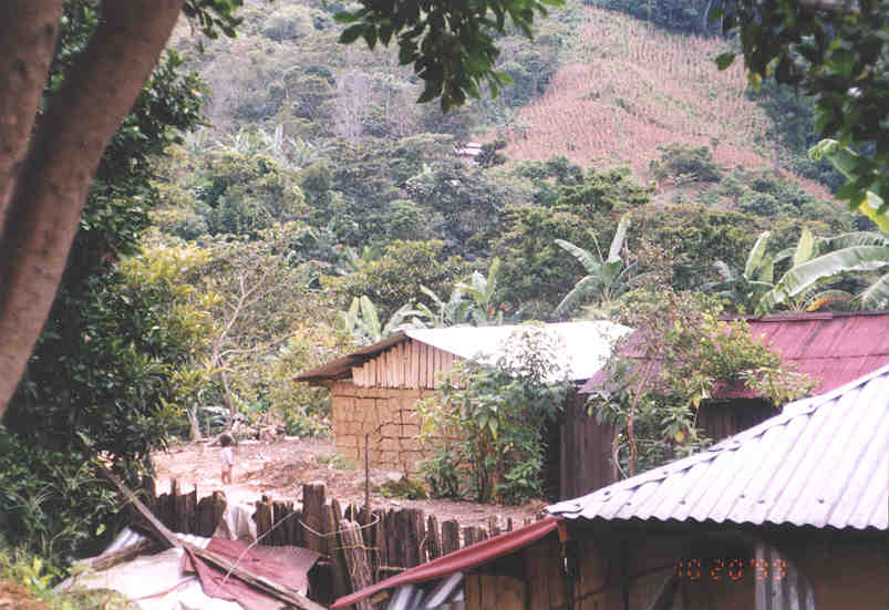 Scenery