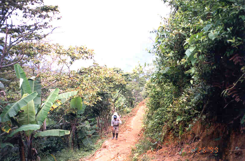 Path